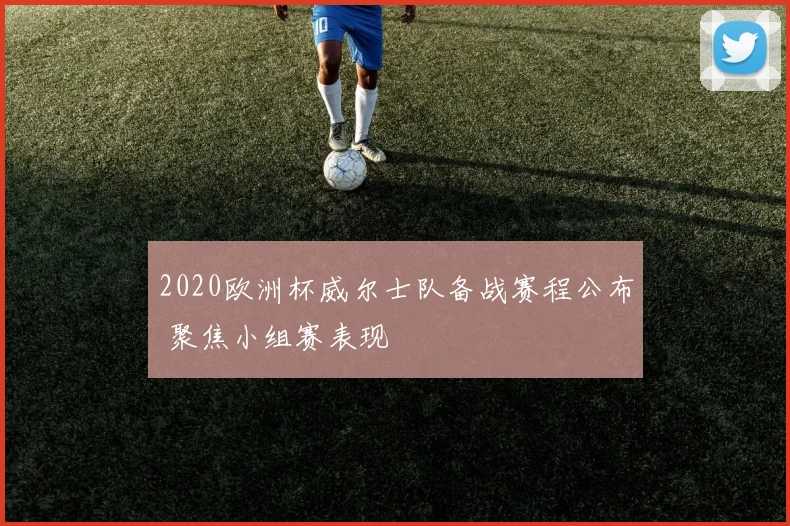 2020欧洲杯威尔士队备战赛程公布 聚焦小组赛表现