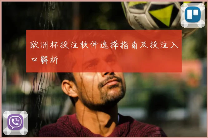 欧洲杯投注软件选择指南及投注入口解析