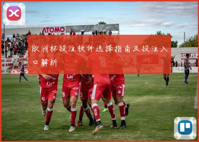 欧洲杯投注软件选择指南及投注入口解析