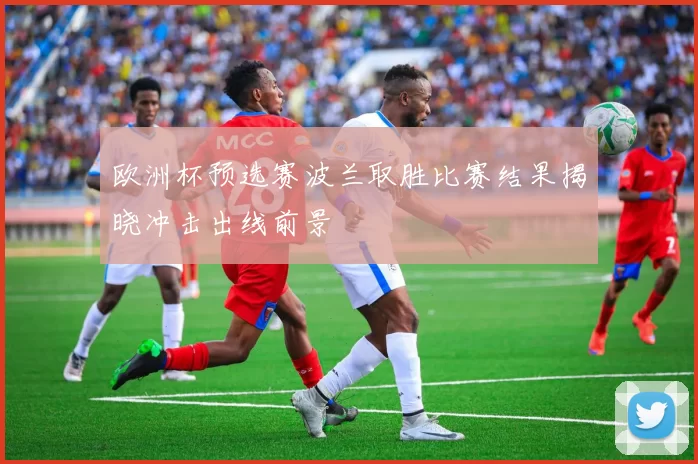 欧洲杯预选赛波兰取胜比赛结果揭晓冲击出线前景