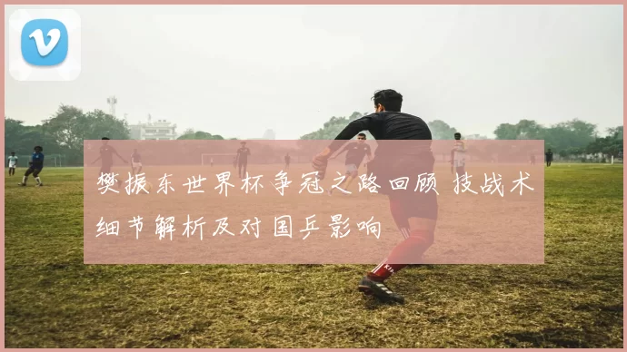 樊振东世界杯争冠之路回顾 技战术细节解析及对国乒影响