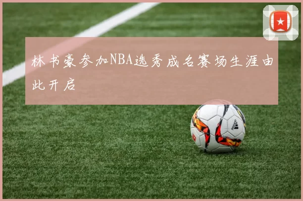 林书豪参加NBA选秀成名赛场生涯由此开启