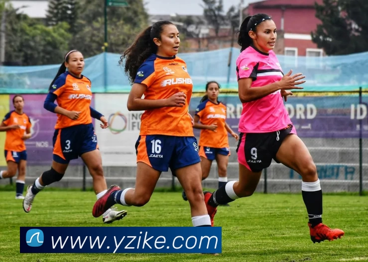 多媒体互动体验